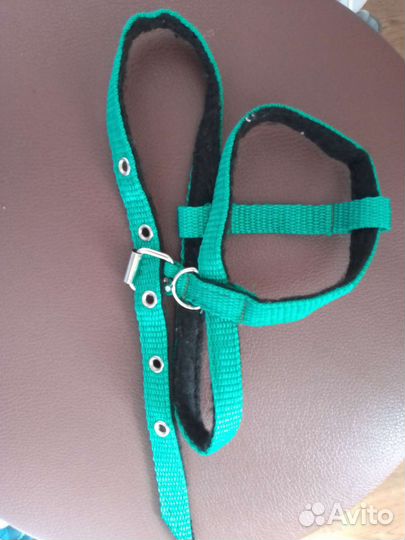 Шлейка для кошки или мелкой собачки