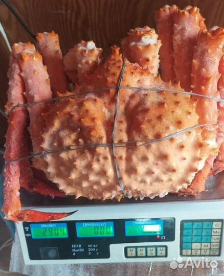 Краб камчатский целый