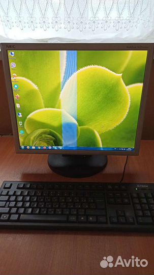 Мониторы Philips, Nec
