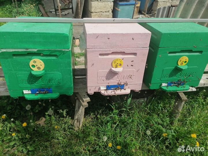 Улей для пчел бу