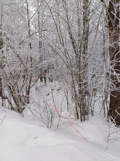 Участок 6,8 сот. (ИЖС)