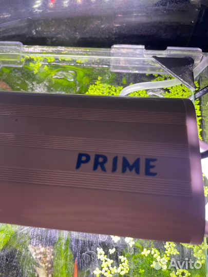 Аквариум под ключ