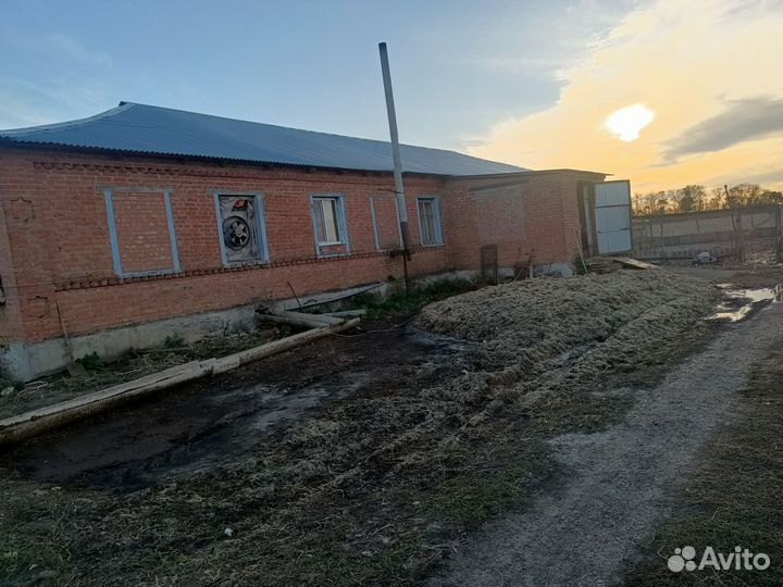 Продается сельхоз ферма