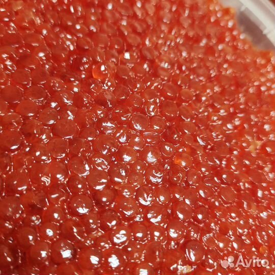 Икра красная свежая