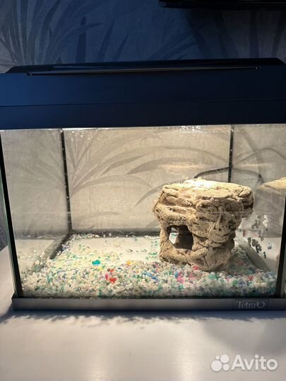 Аквариум tetra 20 литров