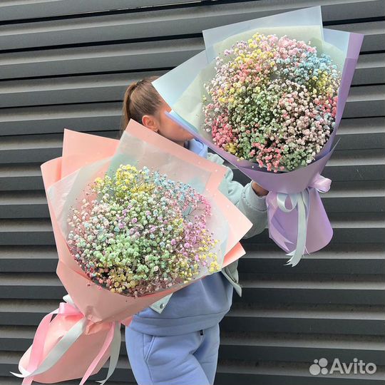 Радужная Гипсофила. Доставка/Самовывоз