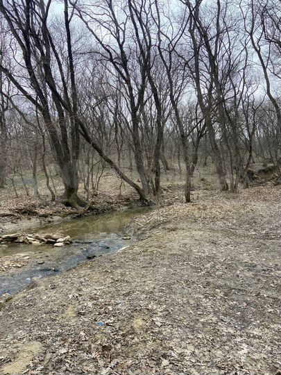 Участок 70 сот. (СНТ, ДНП)