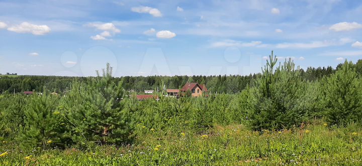 Участок 1,5 га (ИЖС)