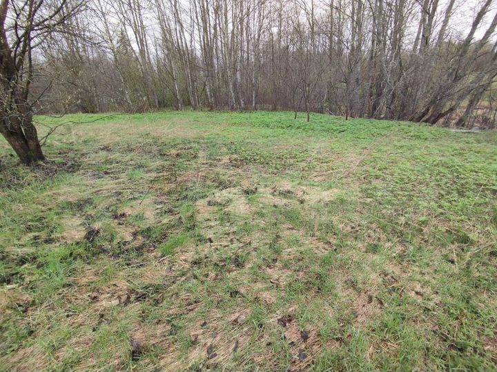 Участок 15 сот. (ИЖС)