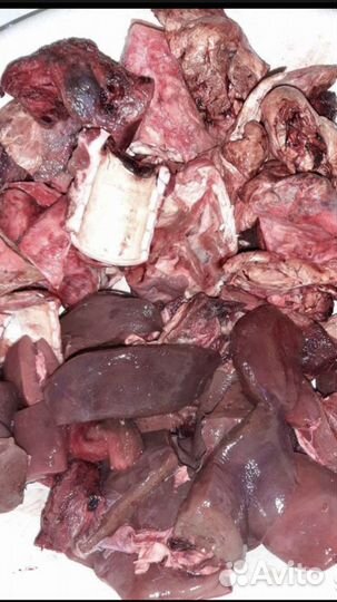 Корм для животных.Мясные,молочные,мучныепродукты