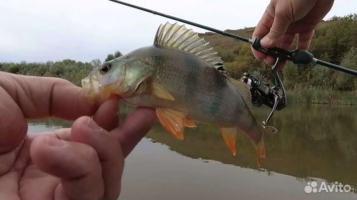 Спиннинг ультралайт от 0.2 до 0.8 грамм