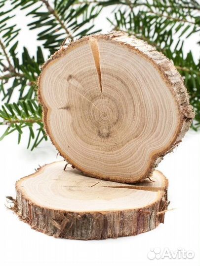 Спилы можжевельника