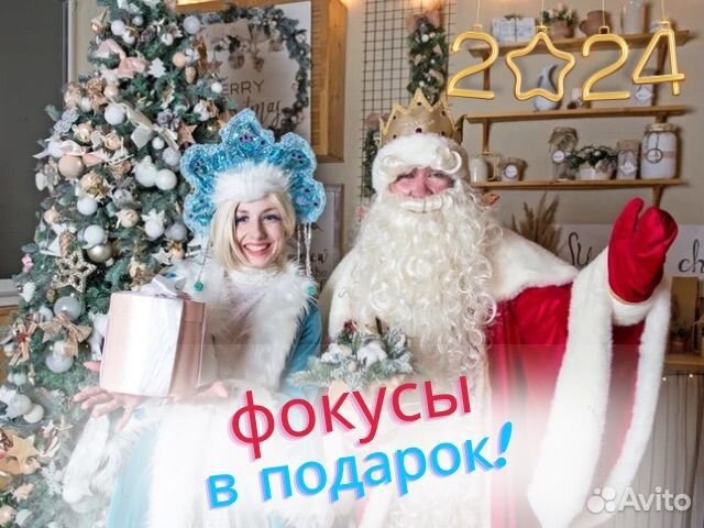 Дед мороз на Дом