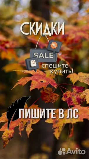 Я являюсь партнёром компании Nl