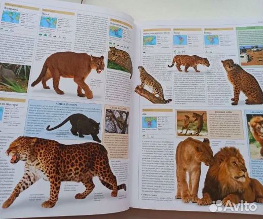Детская энциклопедия Животные