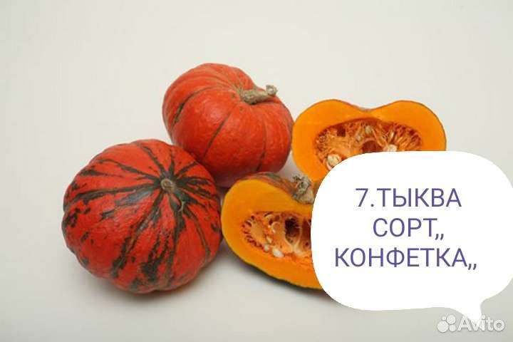 Семена тыквы