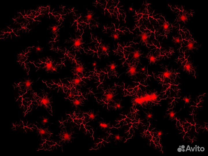 Красивые картинки