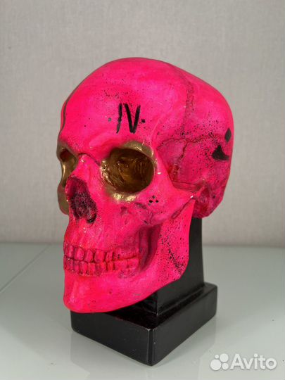 Гипсовая голова Череп