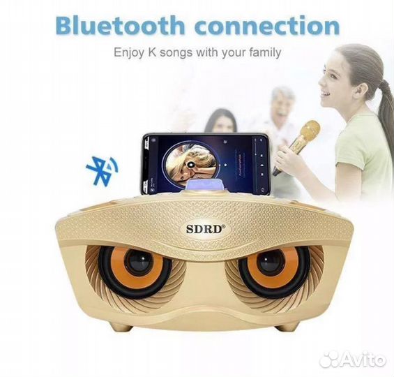 Портативная караоке система с двумя микрофонами