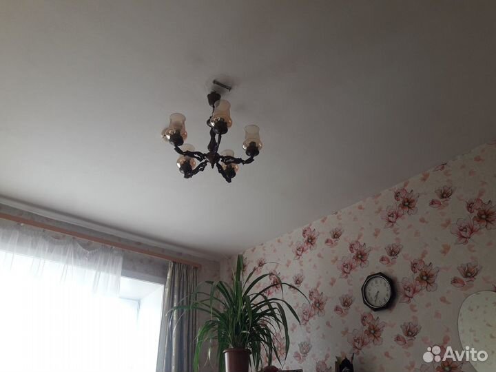 Пальма панданус