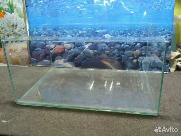 45 л. С жесткостями