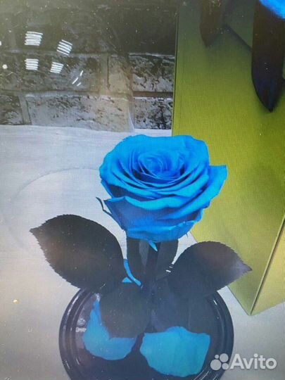 Роза в Колбе(Вечная Роза)