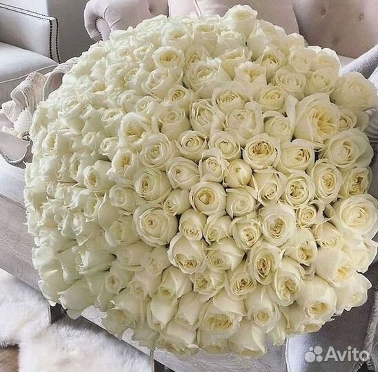 Высокие розы