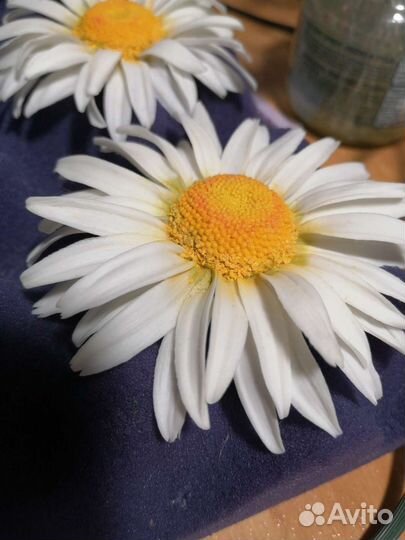 Ромашки из полимерной глины