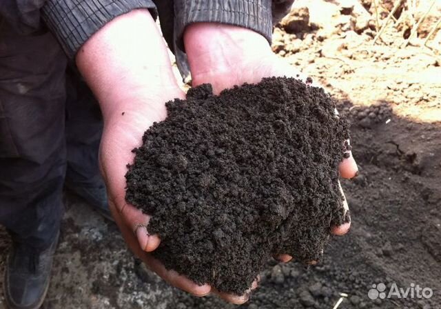 Чернозем,перегной,земля плодородная,торф,навоз