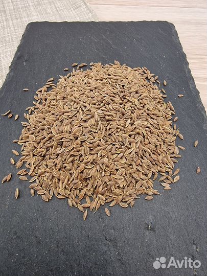 Укроп плоды 500 гр