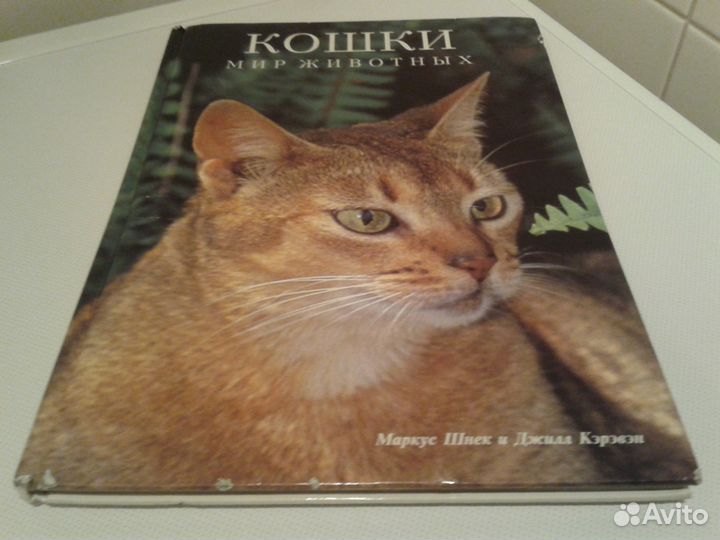 Книги про кошек