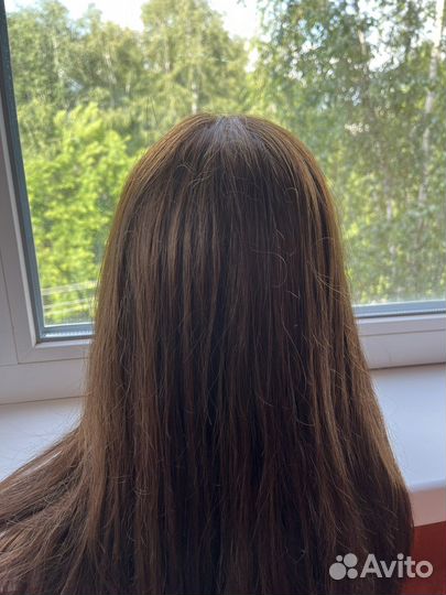 Учебная голова