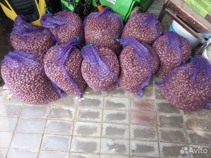 Корма для животных