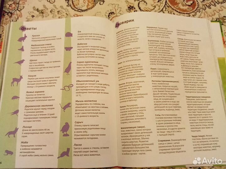 Детская энциклопедия