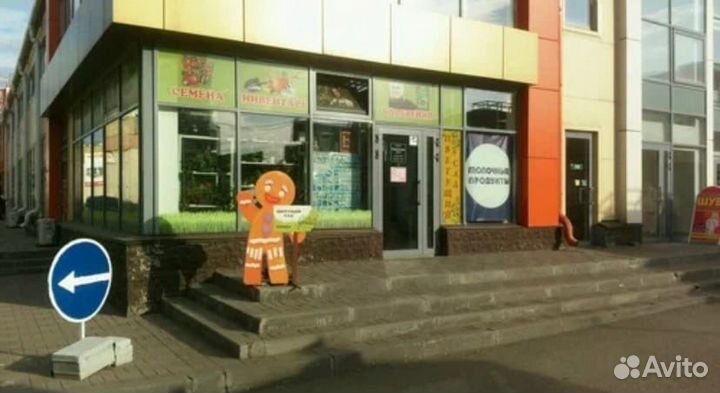 Лук севок штутгартер ризен