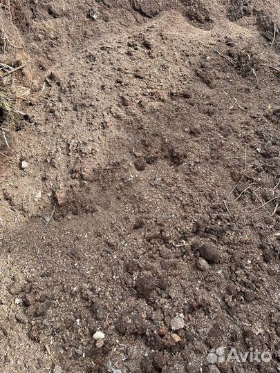 Перегной норки