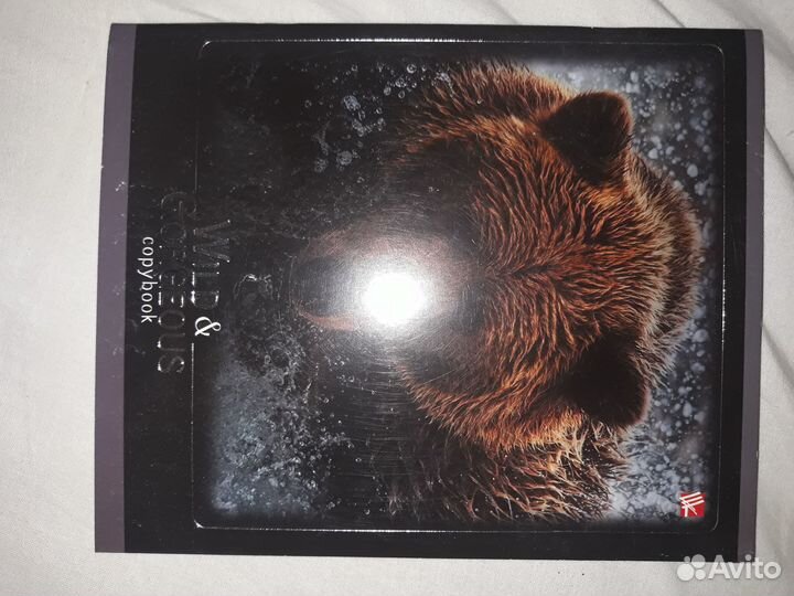 Письменные принадлежности