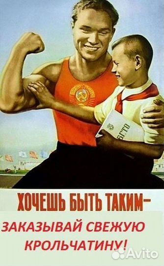 Мясо кролика
