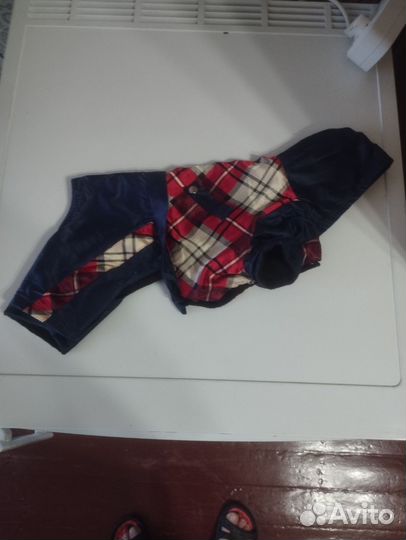 Поводок и комбинезон для мелких собак