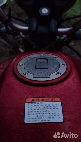 Альфа Сюрикен 110