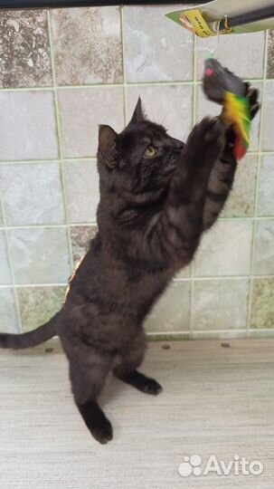 Молоденький мальчик