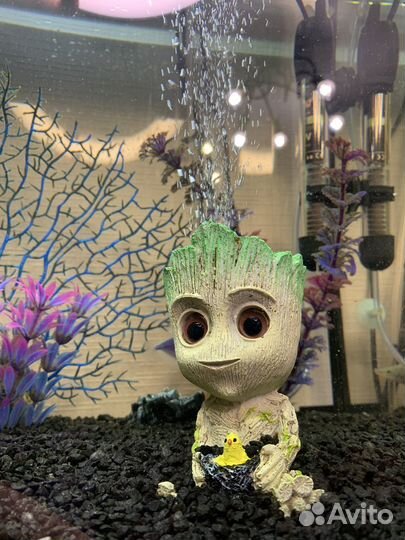 Аквариум 60л с рыбками и комплектом оборудования