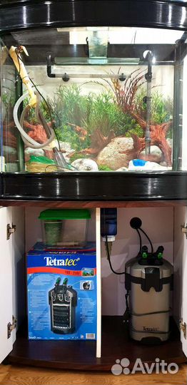 Аквариум