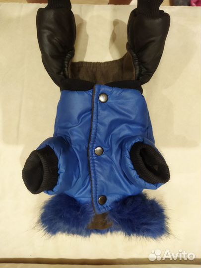 Продам комбез на собачку