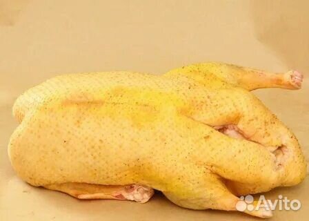 Мясо домашней птицы