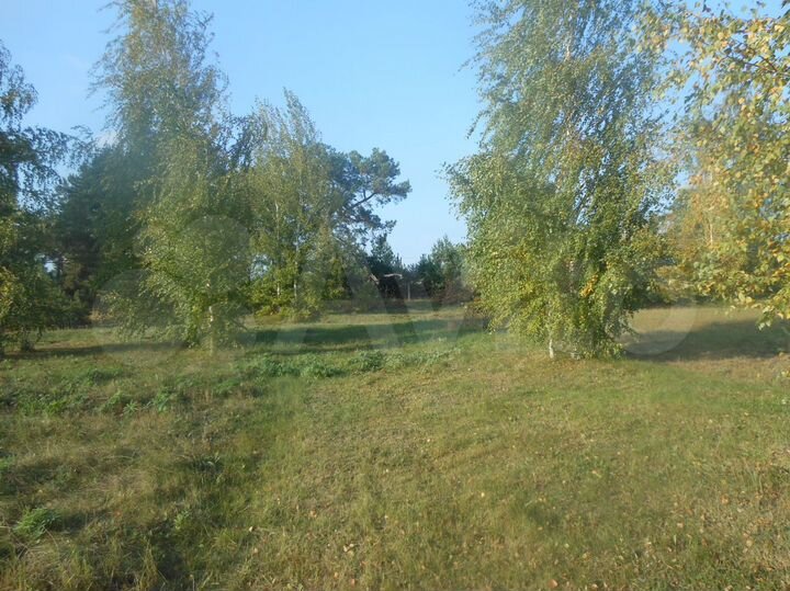 Участок 40 сот. (СНТ, ДНП)