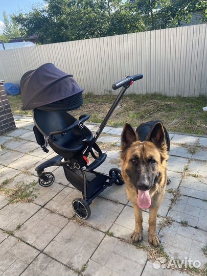 Прогулочная коляска baobaohao v8