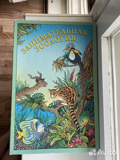 Развивающая игра для детей Занимательная Зоология