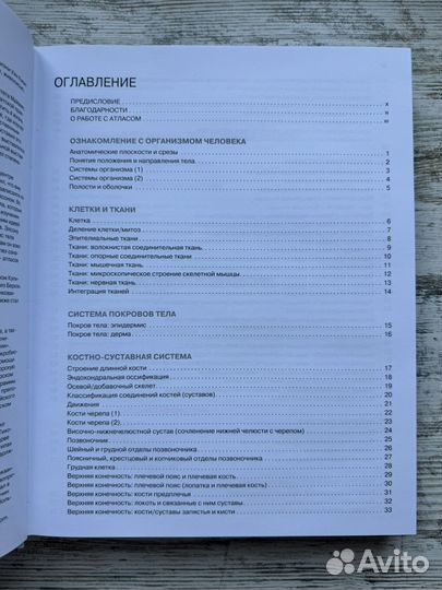 Анатомия человека: Атлас раскраска