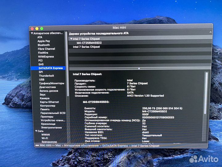 Mac mini i7/16GB/SSD256